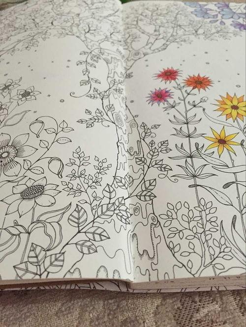 秘密花园高清图片,高清视觉盛宴中的绿意盎然