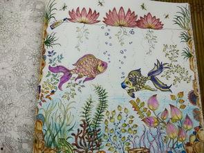 秘密花园高清图片,高清视觉盛宴中的绿意盎然  第2张