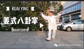 八卦掌视频下载,揭秘传统武术精髓与实战技巧