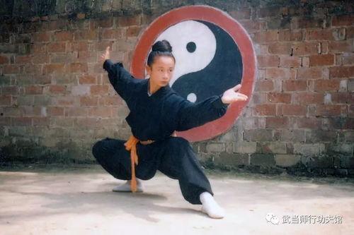 八卦掌视频下载,揭秘传统武术精髓与实战技巧  第2张