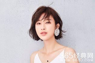 张俪背景资料简介  第2张