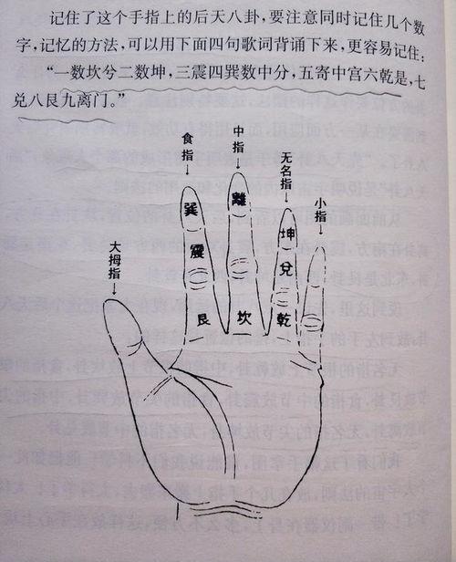 手掌上的八卦说明,揭秘手掌奥秘与生命智慧 第2张 手掌上的八卦说明,揭秘手掌奥秘与生命智慧 第2张