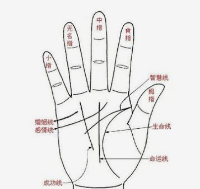 手掌上的八卦说明,揭秘手掌奥秘与生命智慧 第3张 手掌上的八卦说明,揭秘手掌奥秘与生命智慧 第3张