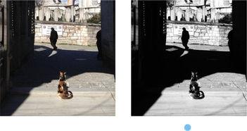 黑白对比照片  第3张