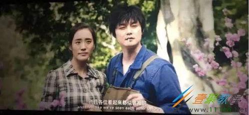 麻雀尹正表情包,演绎经典瞬间,笑翻网友 第3张 麻雀尹正表情包,演绎经典瞬间,笑翻网友 第3张